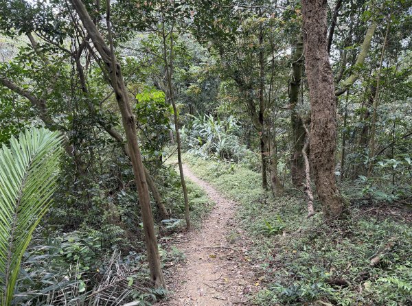 [微笑山線_第四段] 2026_0321 天上山系_十八羅漢岩3022114