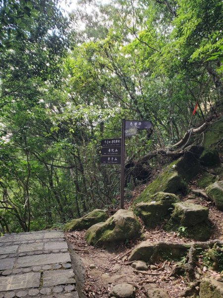 微笑山線：【五分山系】平溪小黃山段2839532