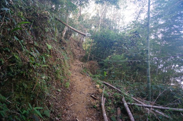 集集大山、車埕步道1946299