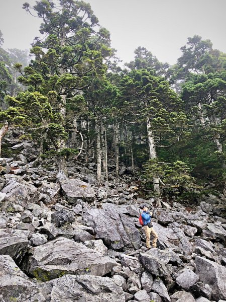 白姑大山之夜1144058