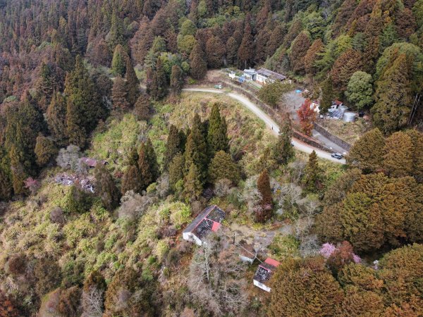 【 爬山趣 】座車比爬山還要累的百岳｜郡大山1816608