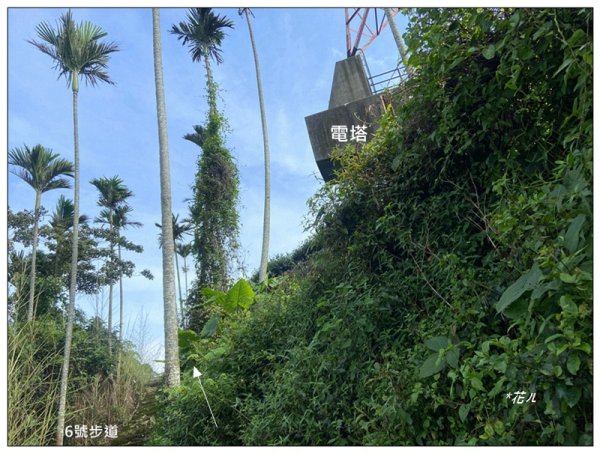 樟湖山 右上左下 (雲林、古坑)2846311