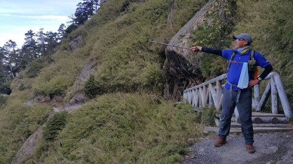 玉山主峰步道 2017 06 27140373