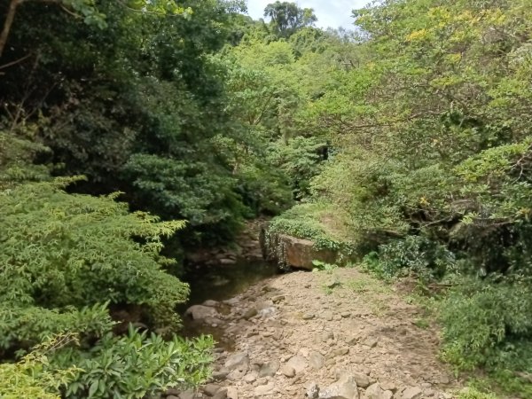 基隆市暖東峽谷大環步道+大菁農場+暖東峽谷小環步道(大O+小O)2832652