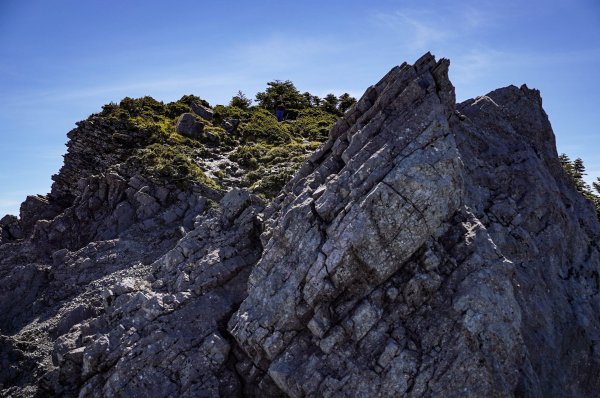 帝王之座-南湖主峰線｜南湖大山＋南湖南峰＋巴巴山2884973