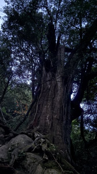 再見加里山2961839