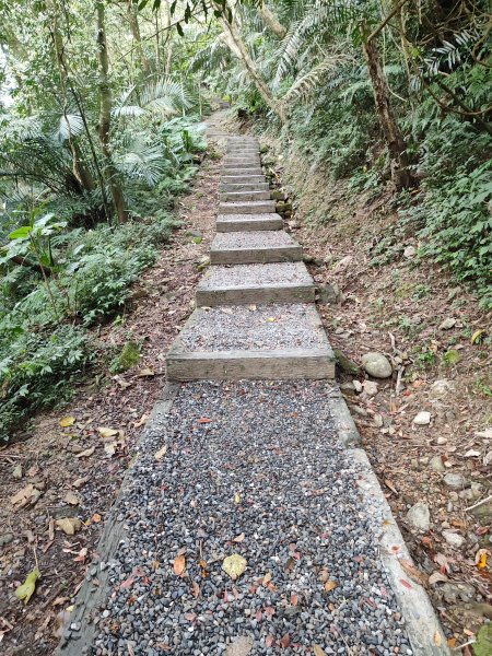 臺北大縱走第七段&第八段3019205