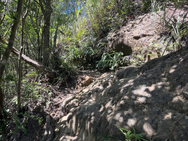[微笑山線_第九段] 2025_0914 二格山系_皇帝殿西峰2889676