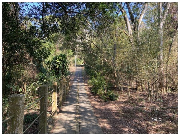 老崎古道、老崎坪頂山 (頭份)2737118