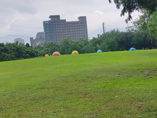 ［健康大穀東］（27~28）：天母運動公園+美崙公園（2023/8/11）2253737