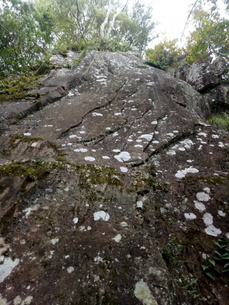 泰安水雲三星之橫龍山1909747