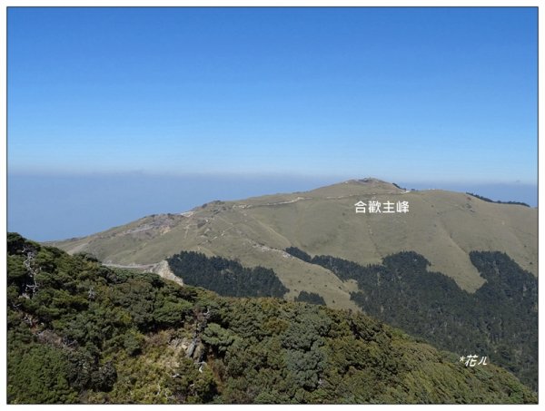 合歡山東峰1319743