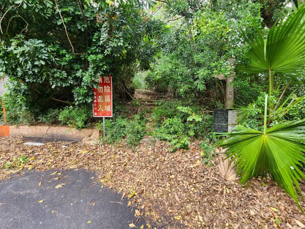 20250101海口山、糠榔埔山、闖水窩山及大牛朝山2726199