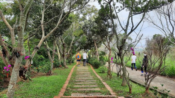 《台中》新觀景台｜竹坑南寮登山步道(南寮端起登)202405012493213