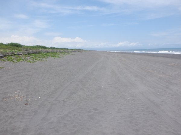 【新聞】向海致敬 還給新北、宜蘭海岸保安林及沙灘乾淨的環境