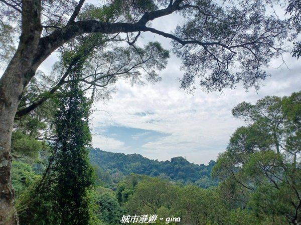 【彰化田中】蓊鬱森林有點陡。 田中森林登山步道1925573