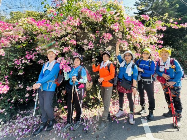埔里鎮地母廟哲學之路-天旨宮鰲頭山步道走鯉魚潭3009685