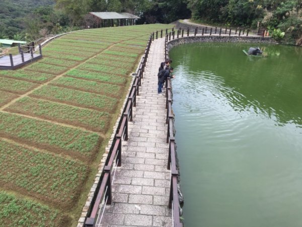 北縱七段抓了10隻博蒂742216