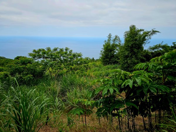 加奈美山-小百岳#95-台東縣大武鄉2777005