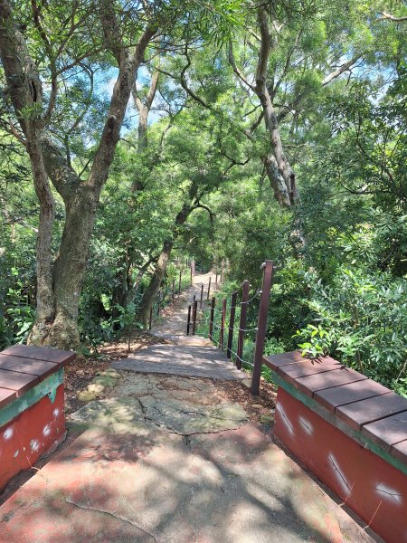 田中麒麟山森林步道202508172862025