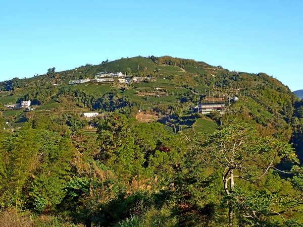 竹林饗宴--瑞太古道登雲戴山順走九芎坪山493547