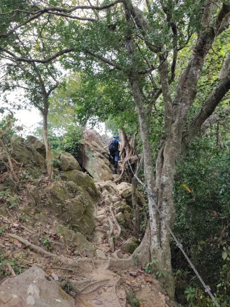 上上下下😭😭到底過了幾個山頭  旗靈縱走O繞1889032