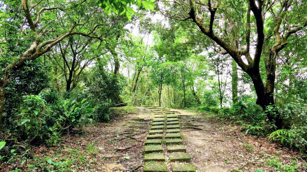 南港四小山。韓美磋2766491