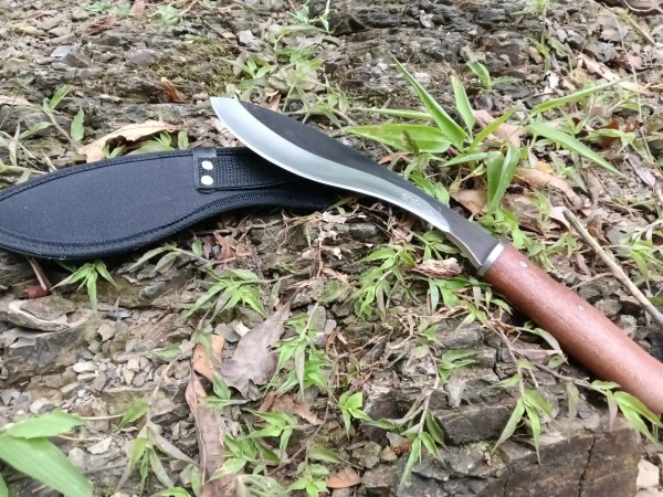 平溪區過火坪古道+枋山坑山+中坑頭鞍部+枋山坑古道+火燒寮古道O型2878608