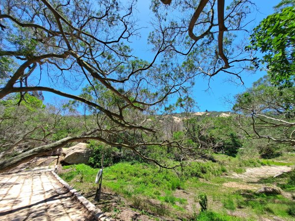 金門：蔡厝斗門太武山古道2487936