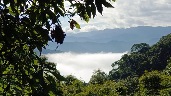 (姨婆趴趴走)第三十八集:攀登新北石碇小格頭獅頭山，探訪翡翠水庫的鱷魚島、千島湖、土虱頭景觀2416793