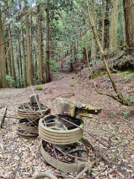 加里山（大坪登山口-杜鵑嶺-避難小屋）2767762