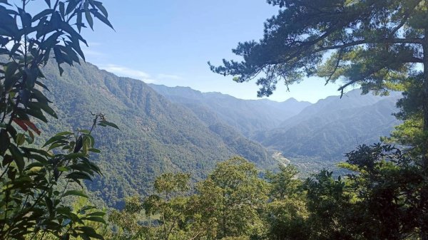 阿冷山 谷關第八雄2877424