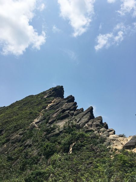 2017-5-1 劍龍鋸齒稜半屏山茶壺山147709