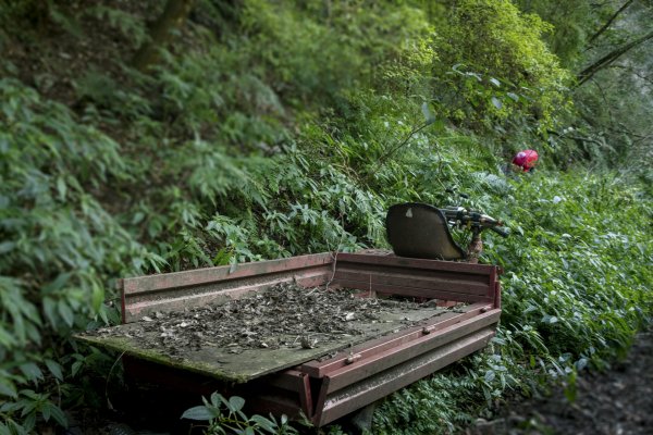 大小劍-油婆蘭全紀錄2674207