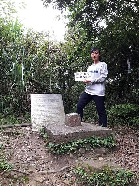 獅仔頭山~錦毛鼠-台灣小百岳