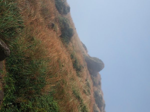 小油坑～七星山～冷水坑～擎天崗1940739