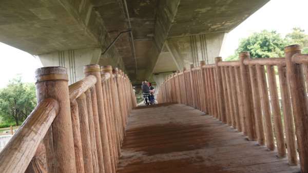 竹坑南寮步道登山健行趣(步道)1561519