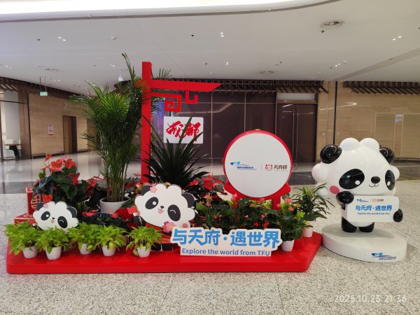 桃園國際機場-香港機場-成都天府機場-天府九鼎國際大酒店封面