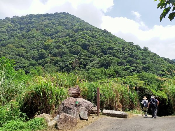 2-2 紗帽路旁磺溪祕境→白雲瀑布→陽明山前山公園→陽明醫院舊址1825876