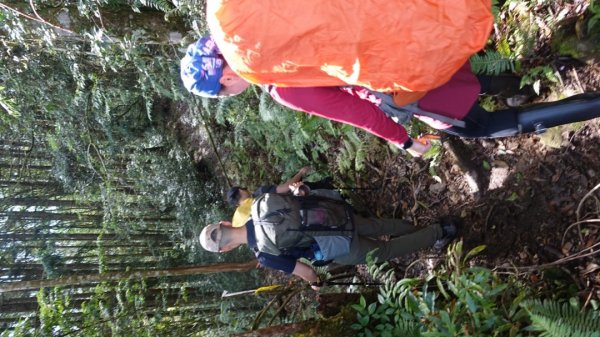 雙龍林道上巒安堂西巒大山1778737