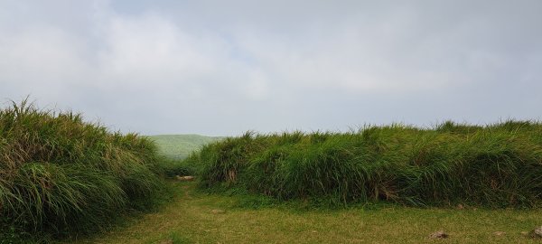 鹿崛坪山.磺嘴山.富士坪山 111.09.09(五)2143474