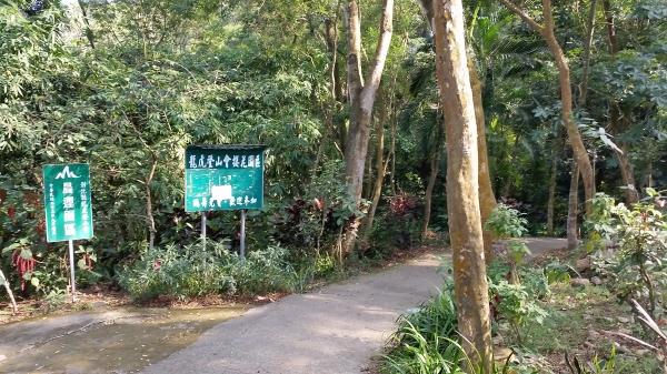 彰化縣田中鎮-田中森林登山步道90075