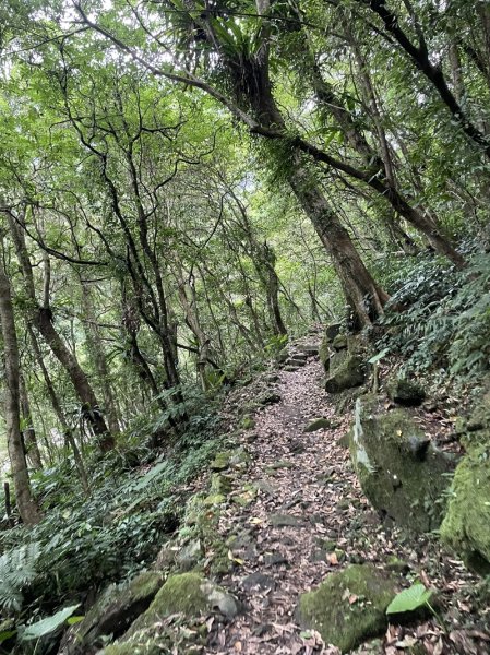 灣潭古道登山口至外澳車站2528471