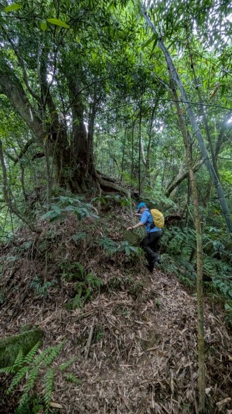 114.05.17聖人崙-聖人瀑布之旅2789519
