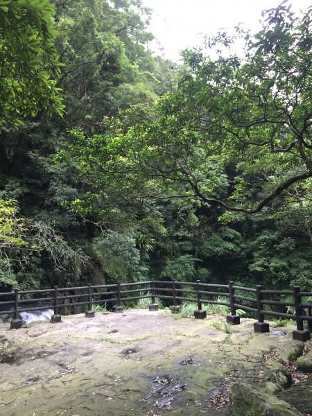 滿月圓國家森林遊樂區步道1056490