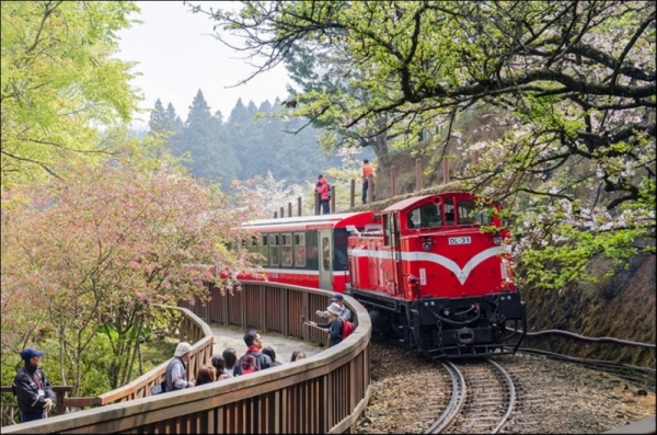 【新聞】阿里山鐵路 加開週日獨立山區間車