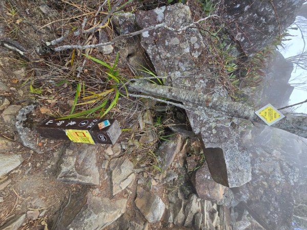 東卯山／東卯山西峰+賞山櫻花2715988