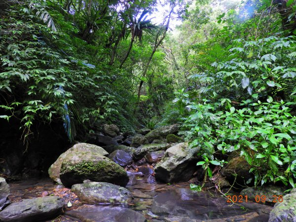 新北 坪林 四堵古道(石牌縣界公園段)1469825