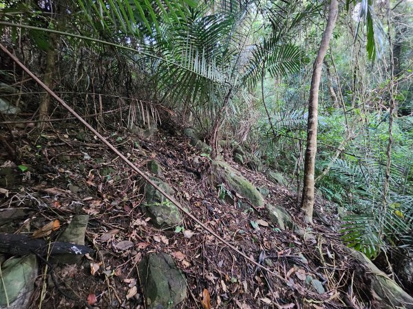 20241215富浪波山鹹菜棚街與打牛崎步道2691607