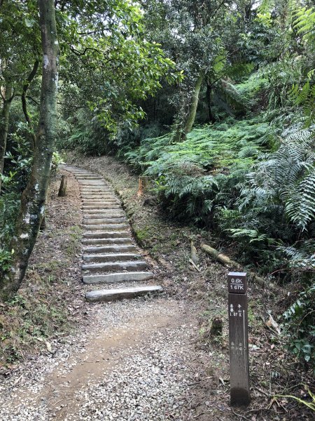 台灣小百岳No.011姜子寮山908419